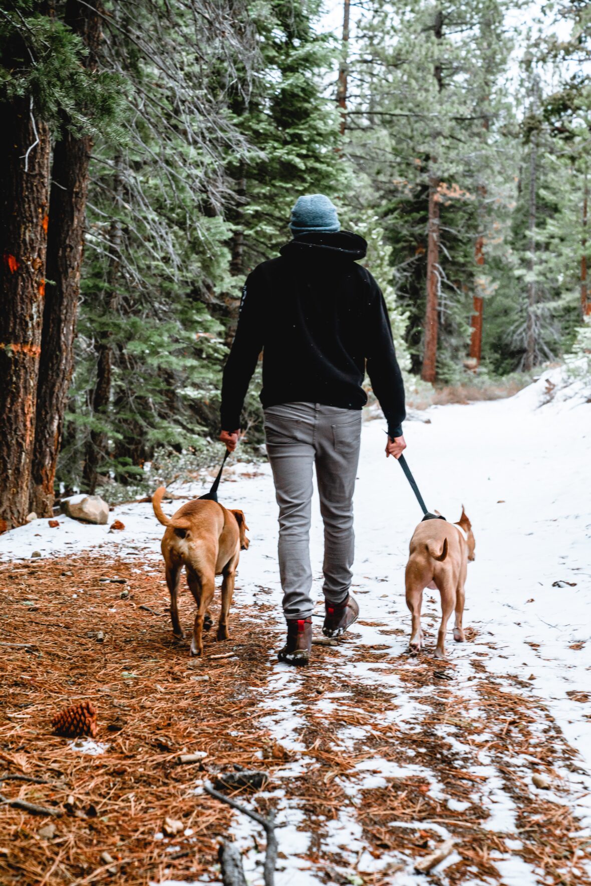 maintaining your physical health in the winter by walking 