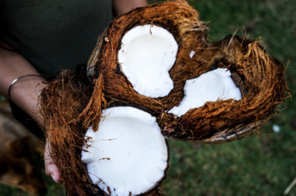 Person holding coconuts