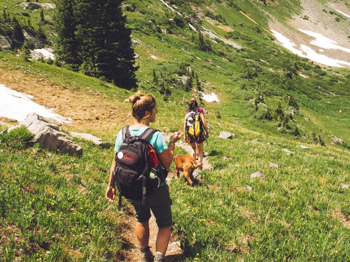 AllTrails Unsplash Walking Apps
