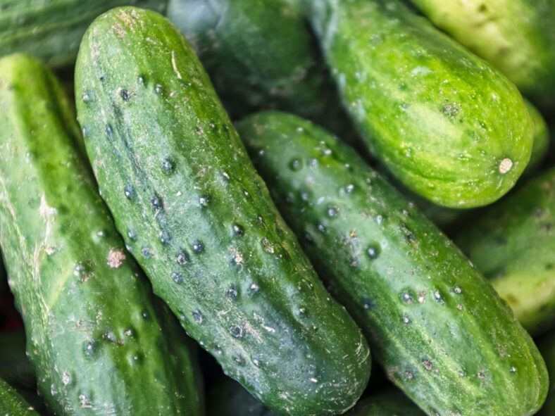 Cucumbers Unsplash