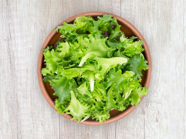 Lettuce Unsplash