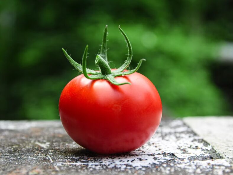 Tomato Unsplash