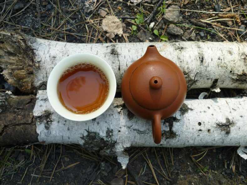 gentian root tea