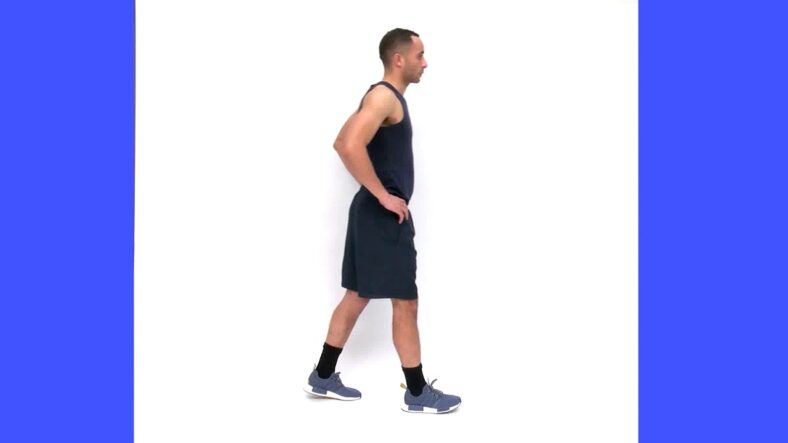 exercises for seniors