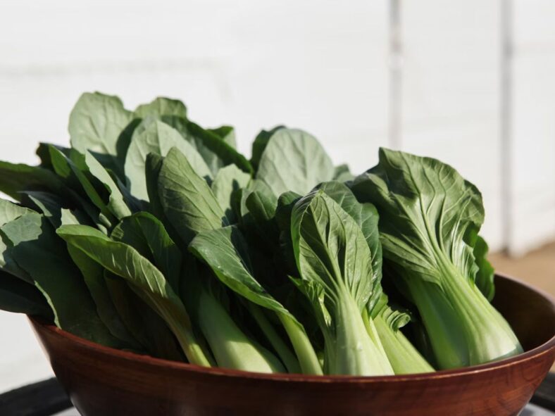 Bok Choy Unsplash