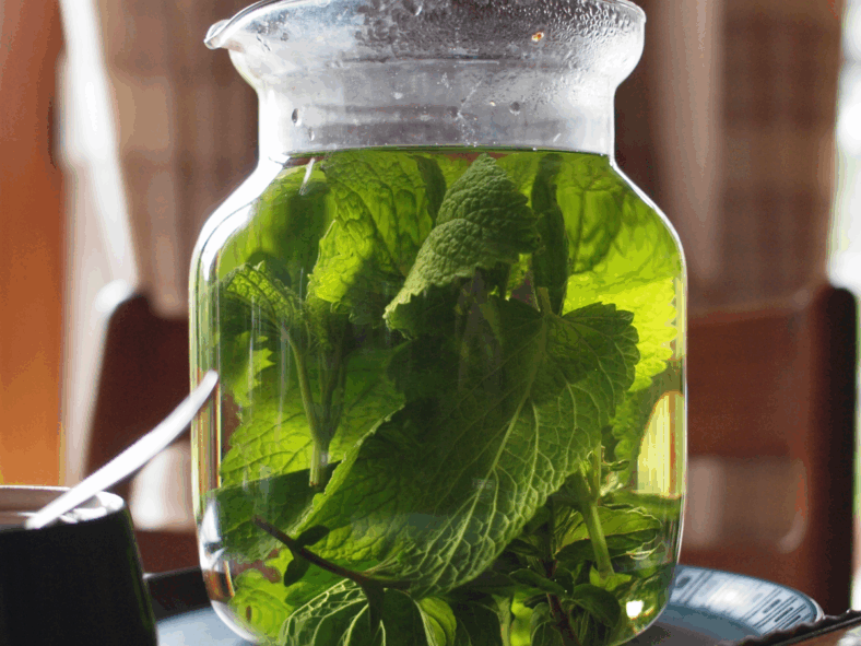 immune-boosting teas