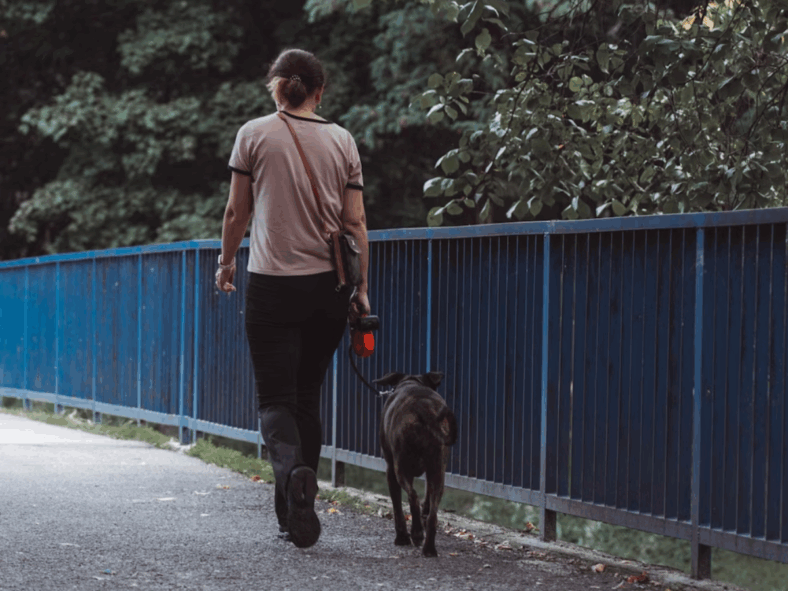 digital detox tips