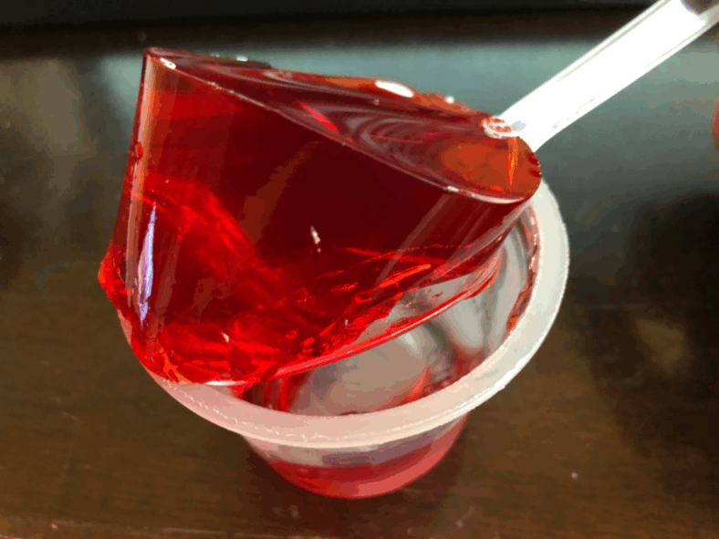 foods high in collagen