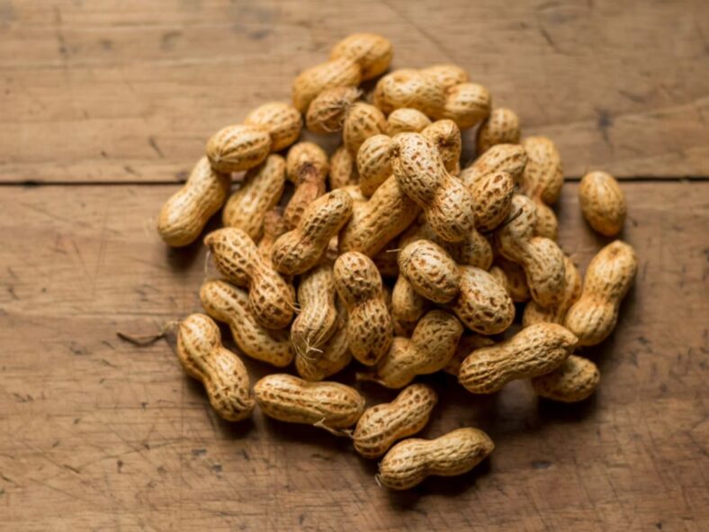 Nuts Unsplash