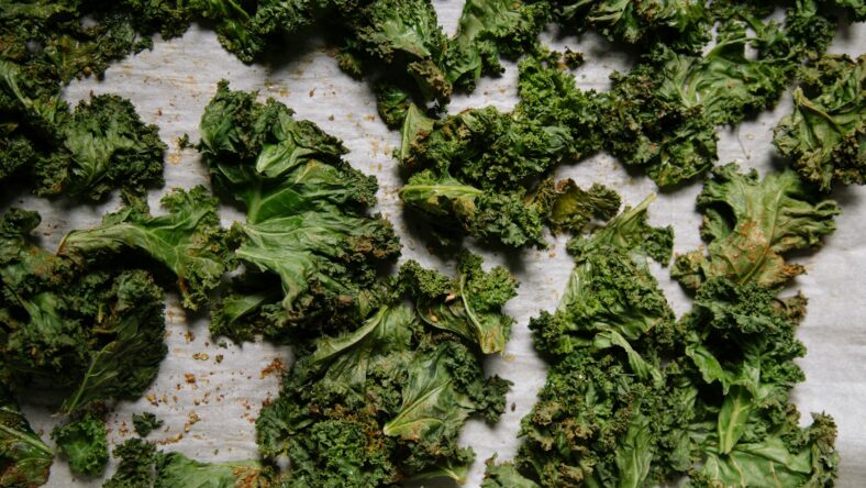baked kale chips / low-sodium snacks