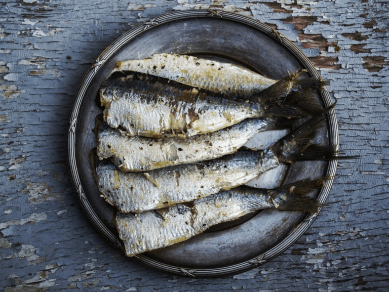 foods high in collagen