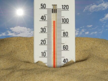 ways summer heat affects you