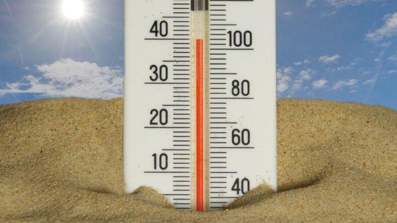ways summer heat affects you