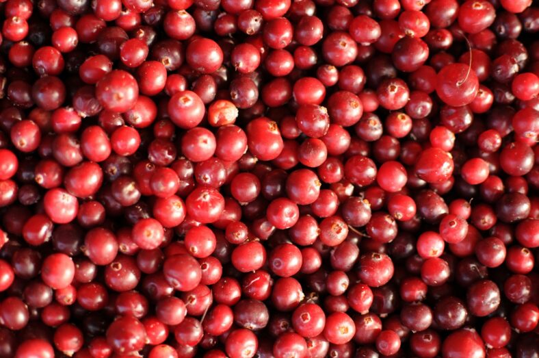 cranberries