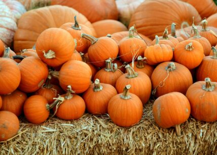pumpkins / nutritious fall foods