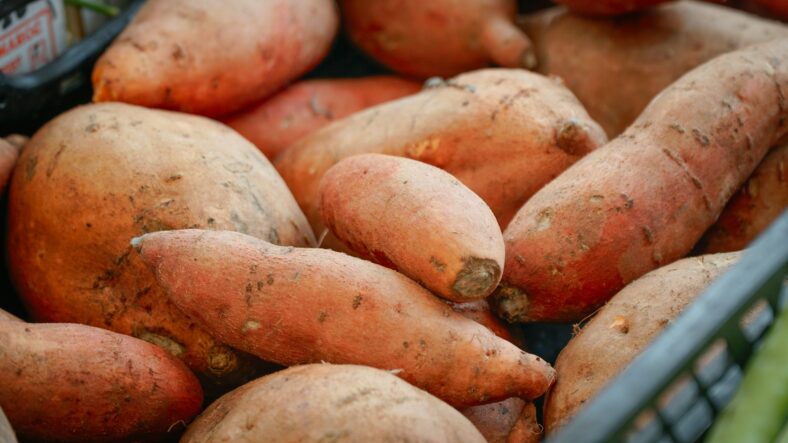 5 Amazing Health Benefits of Sweet Potatoes You Need to Know