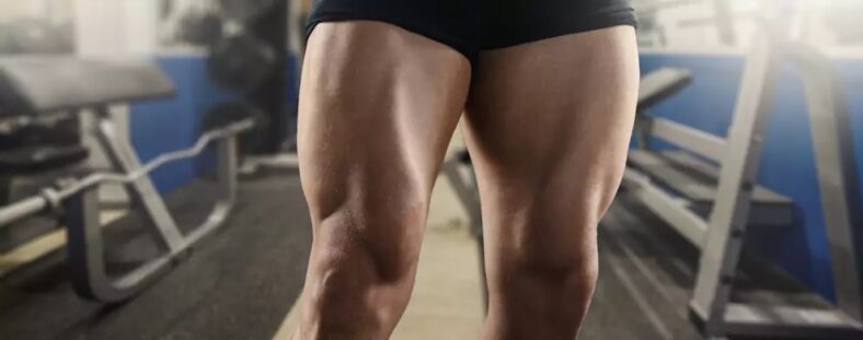 7 Reasons to Use the Leg Press Machine for Safe and Effective Leg Workouts