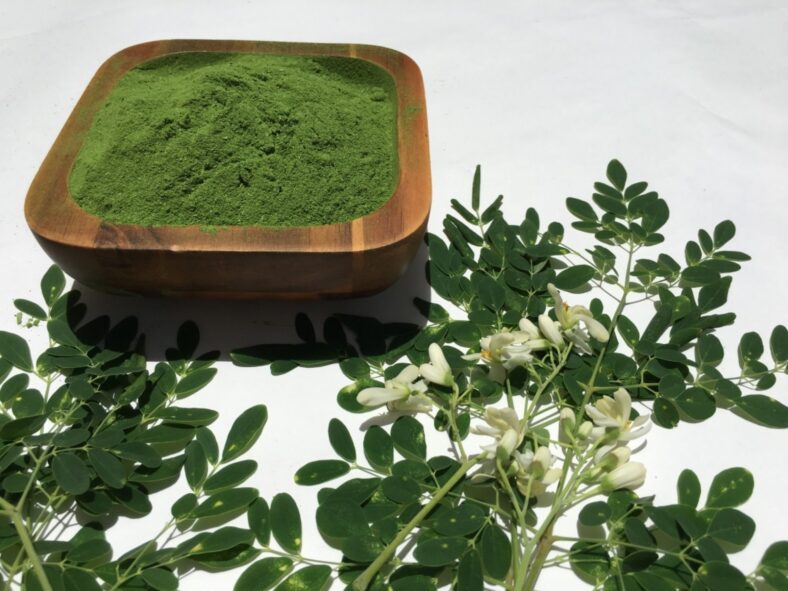 5 Reasons Why Moringa is Best Taken in the Morning for Energy and Health