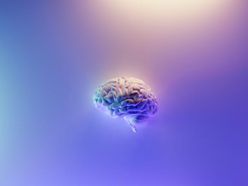Brain Function Unsplash