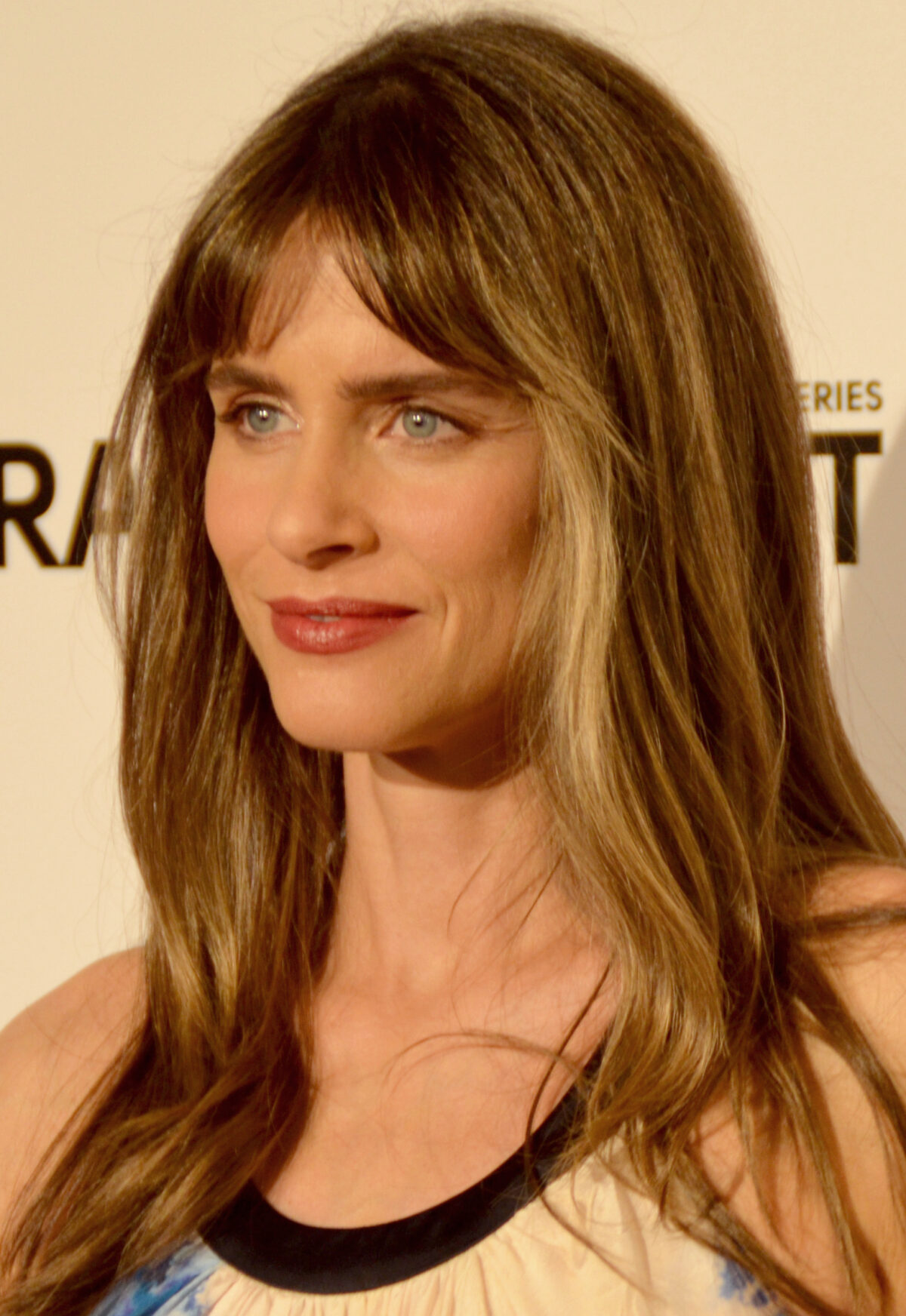 amanda peet wikimedia